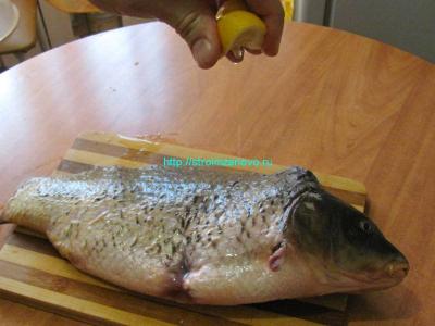 Запечённый карп, фаршированный гречневой кашей
Запечённый карп, фаршированный гречневой кашей