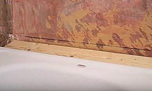 Как заделать стык между ванной и стеной Как заделать стык между ванной и стеной
