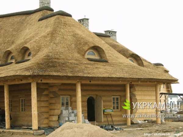 Камышовая кровля &ndash; преимущества восхищают!